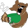 Poison Bears Logo.jpg