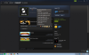 domnu profile from steam client.png