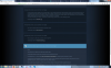 Screenshot 14-Steam support ticket.png