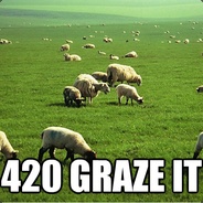 420 Graze it