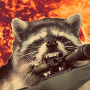 RebelRaccoon