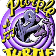 Purple Turtle 2