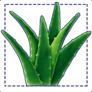 aloe is ur friend ??/