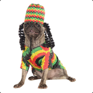 Rasta Dug | skinsanity.gg