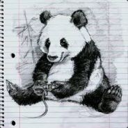 Jaden The Panda! ☯