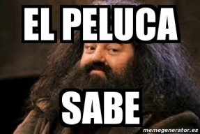 [E.C.] El Peluca Sabee...