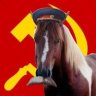 Comrade Stallion