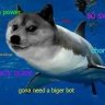 Sharkey Doge