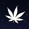 kush - CSGO5X CSGOSum.com