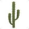 Cactus9985