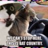 ScrapTF | Bat-Country