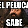 [E.C.] El Peluca Sabee...