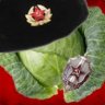 Comrade Cabbage