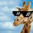 Giraffe with glasses