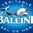 小green | Sel la Baleine