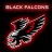 BlackFalcons - csgo.net