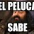 [E.C.] El Peluca Sabee...